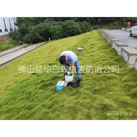 沙头水利堤坝鼠害防控工程